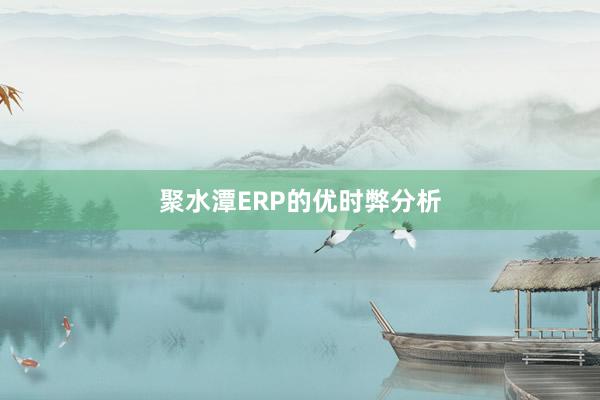 聚水潭ERP的优时弊分析